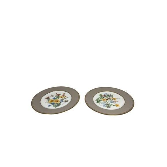 Mikasa Cathy Hardwick Parchment Taupe Appetizer Or Dessert Plate A6825 Set Of 2 - Picture 4 of 12